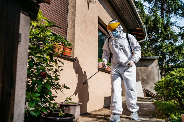Professional Pest Control in Kings Park, VA