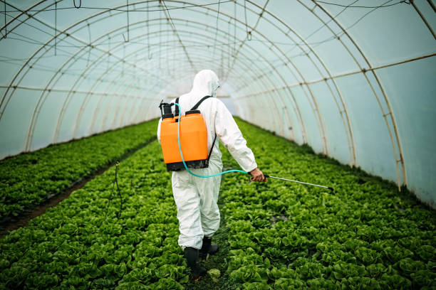 Best Affordable Pest Control Services  in Kings Park, VA