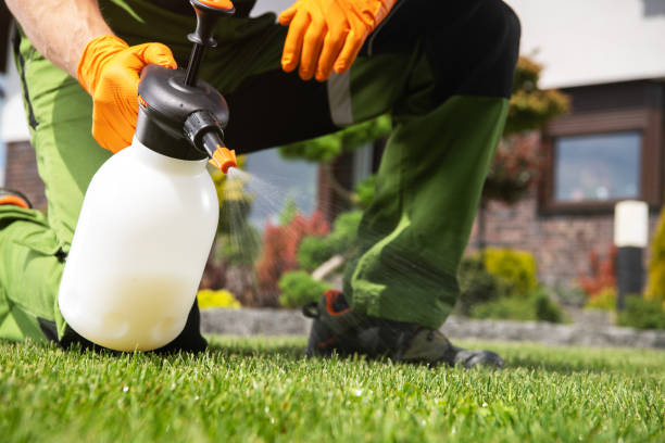 Best Pest Control for Businesses  in Kings Park, VA