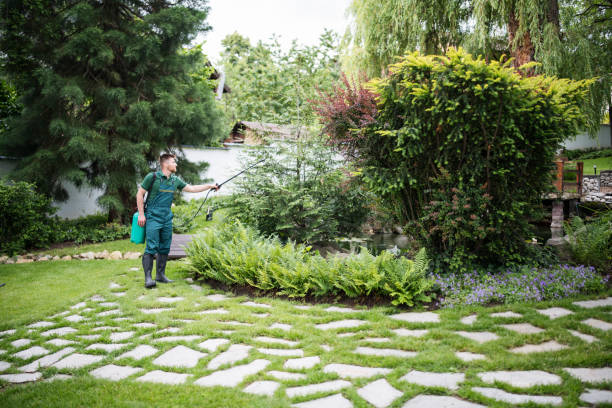 Best Pest Inspection Near Me  in Kings Park, VA
