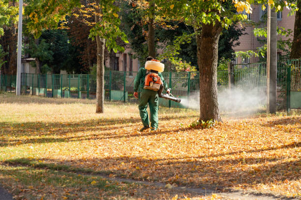 Best Best Pest Control Companies  in Kings Park, VA