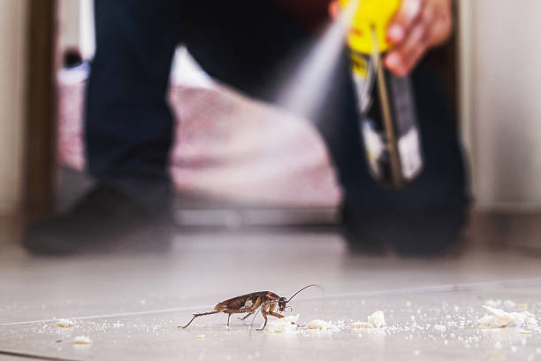 Best Affordable Pest Control Services  in Kings Park, VA