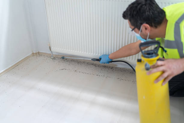 Best Local Pest Control Services  in Kings Park, VA